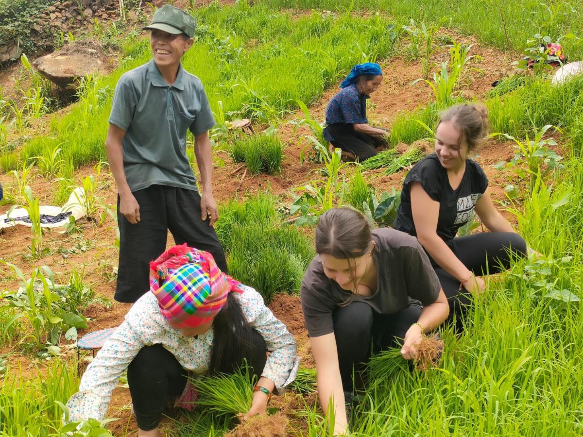 Indigenous Homestay- Trek- Food- Bus Mu Cang Chai Экстерьер фото