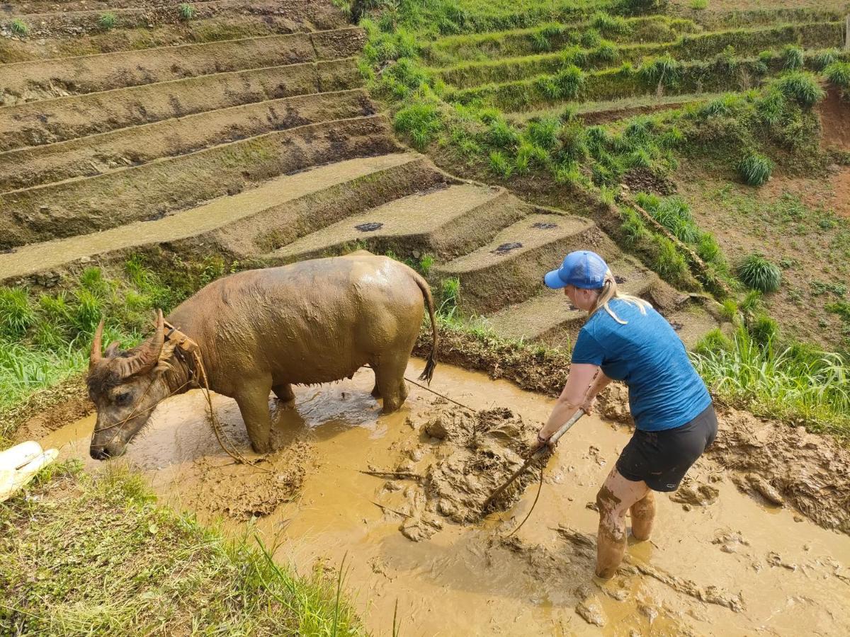 Indigenous Homestay- Trek- Food- Bus Mu Cang Chai Экстерьер фото