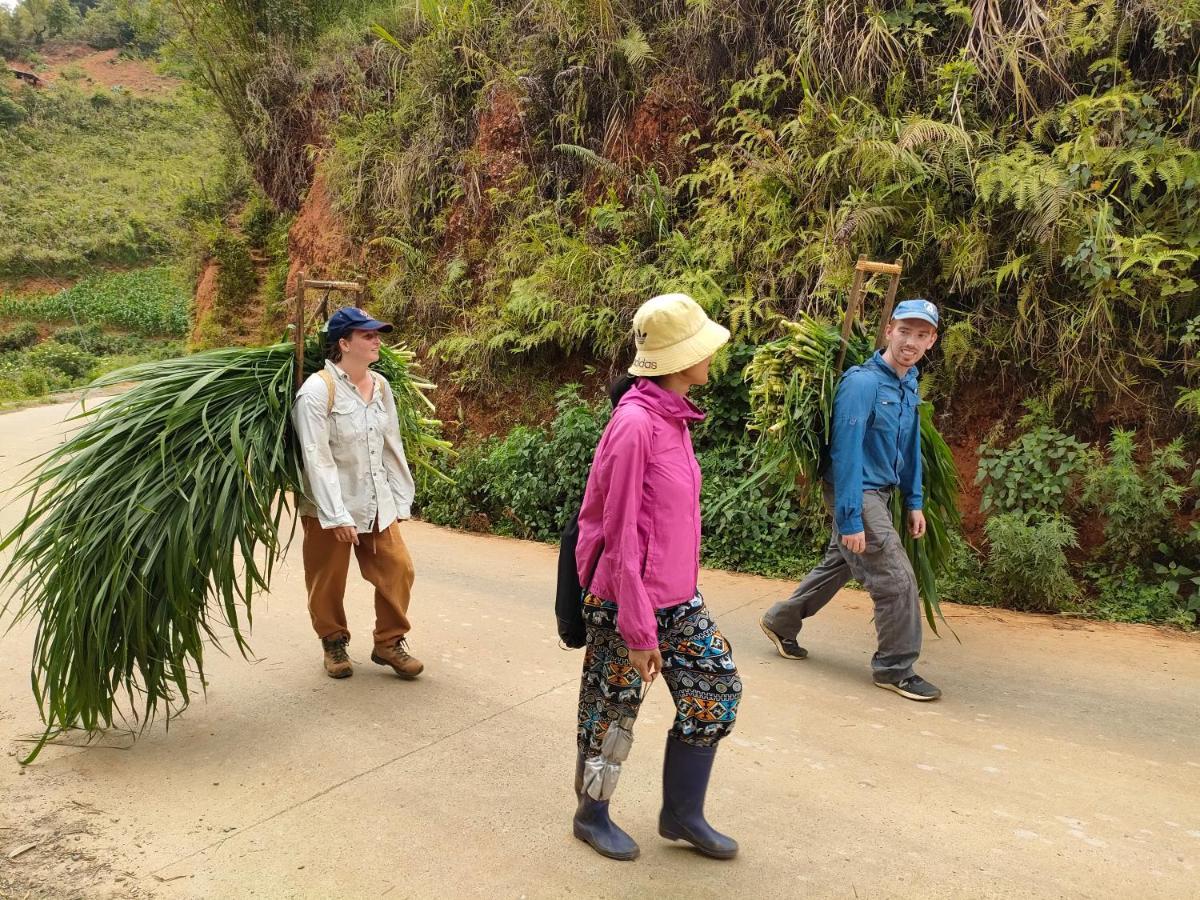 Indigenous Homestay- Trek- Food- Bus Mu Cang Chai Экстерьер фото