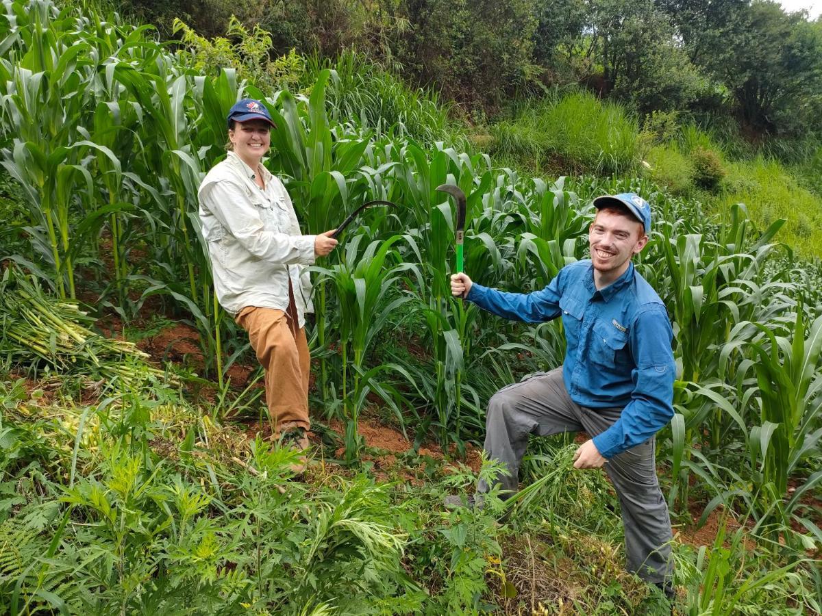Indigenous Homestay- Trek- Food- Bus Mu Cang Chai Экстерьер фото