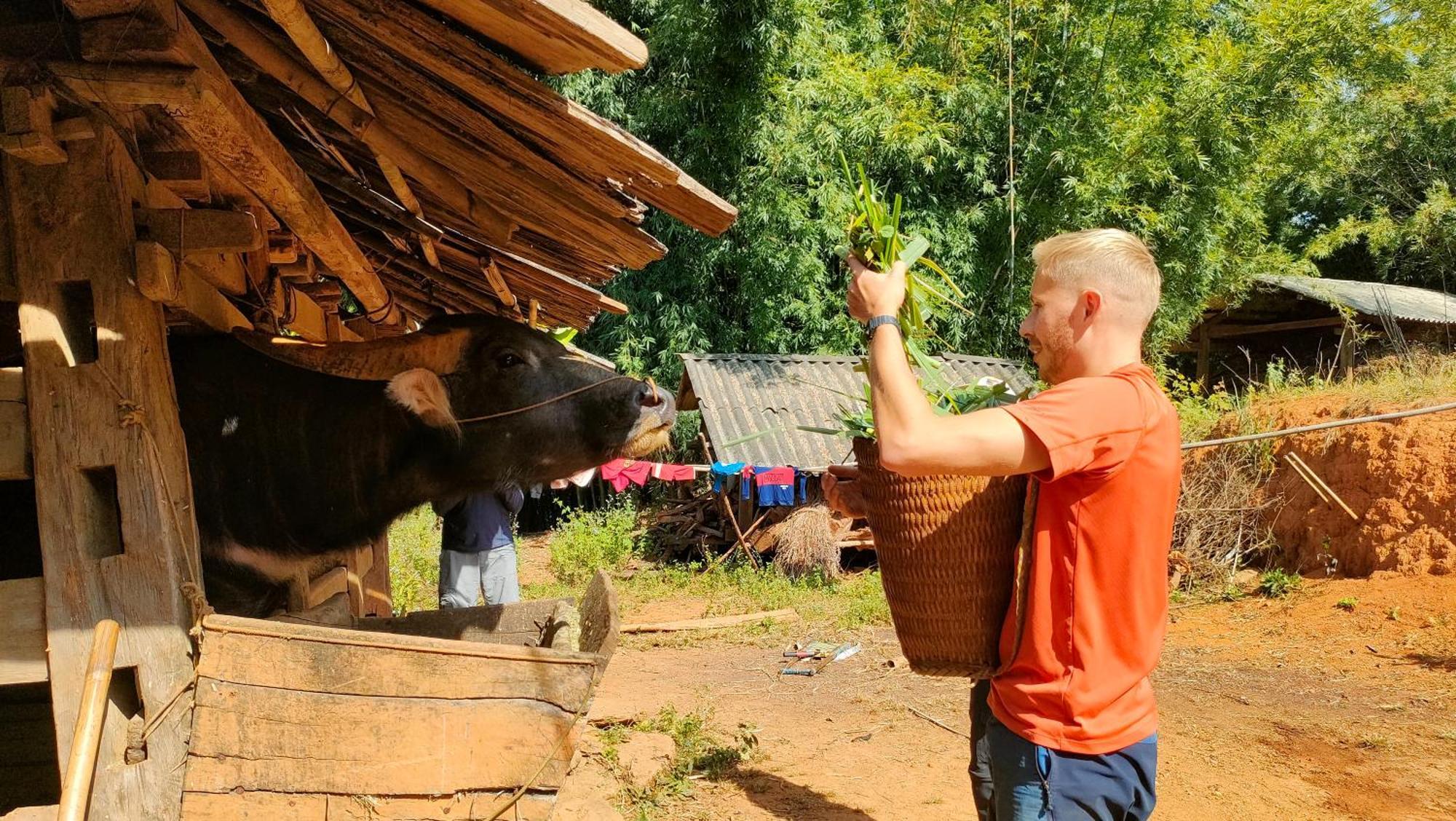 Indigenous Homestay- Trek- Food- Bus Mu Cang Chai Экстерьер фото