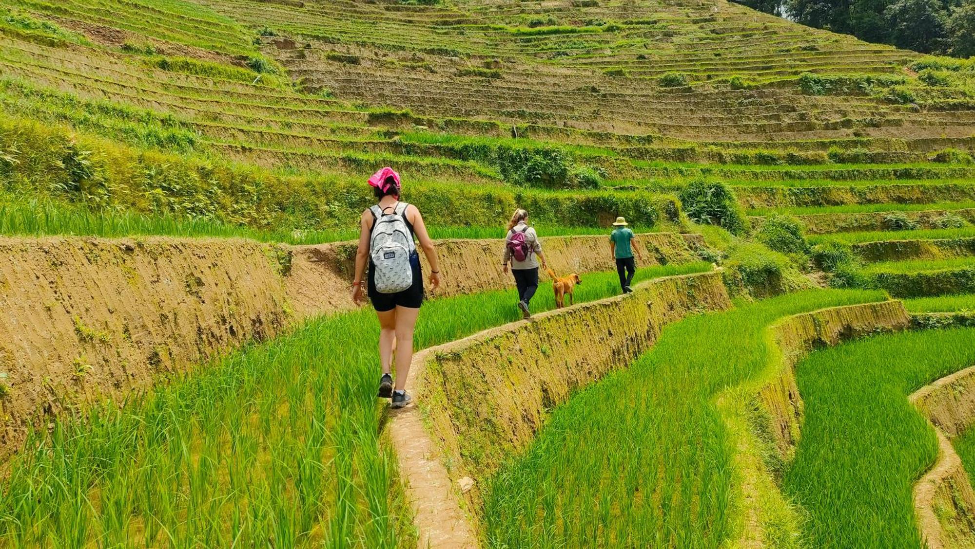 Indigenous Homestay- Trek- Food- Bus Mu Cang Chai Экстерьер фото